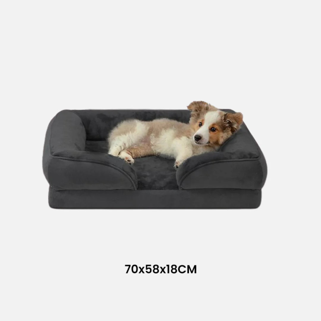 Luxury Orthopedic Dog Bed