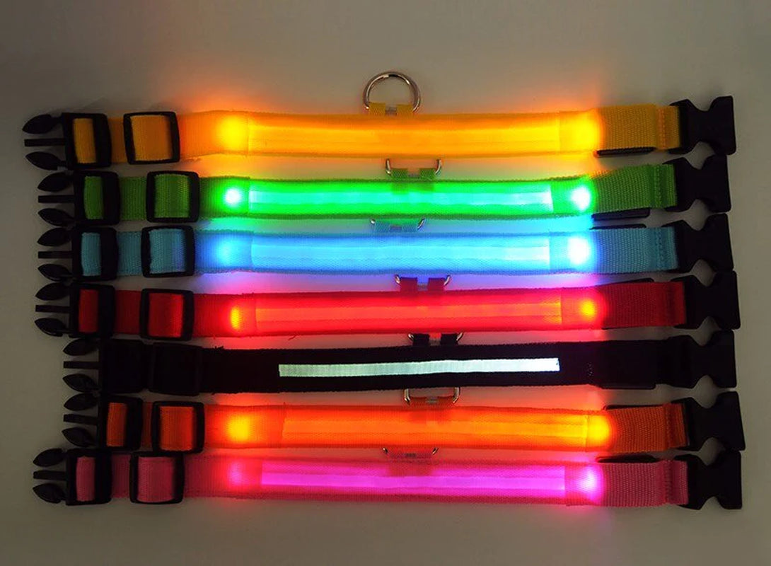 LED Glowing Dog Collar 