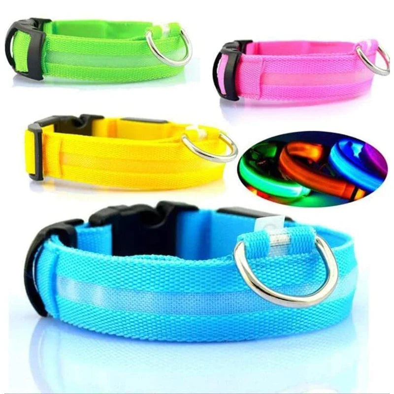 LED Glowing Dog Collar 