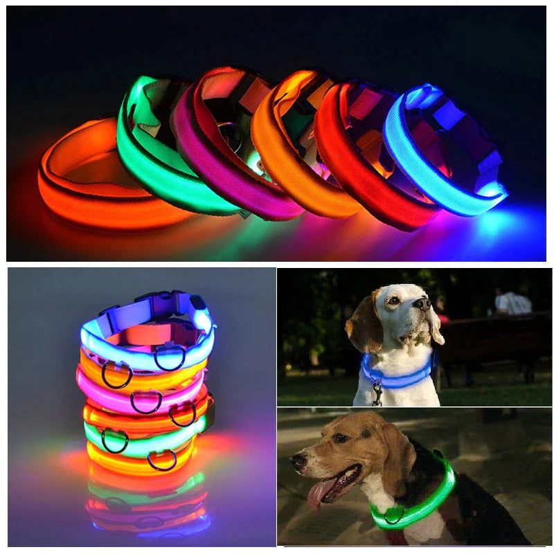 LED Glowing Dog Collar 