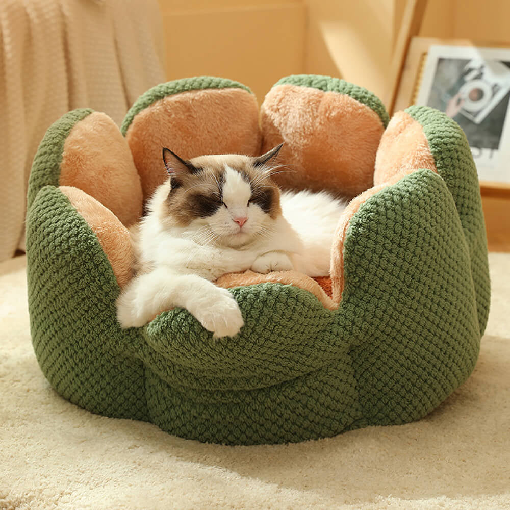 Cactus Shaped Pet Bed 