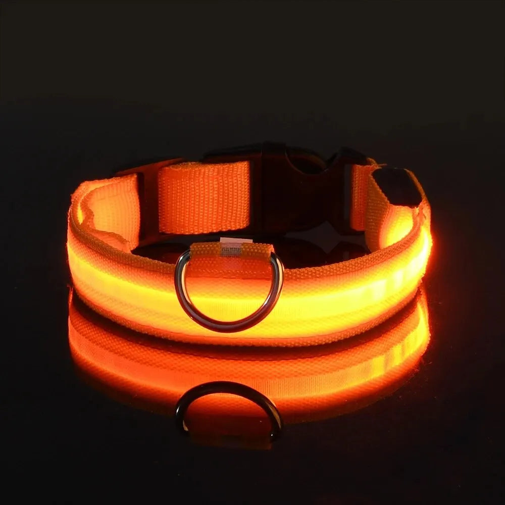 Glowing LED Dog Collar