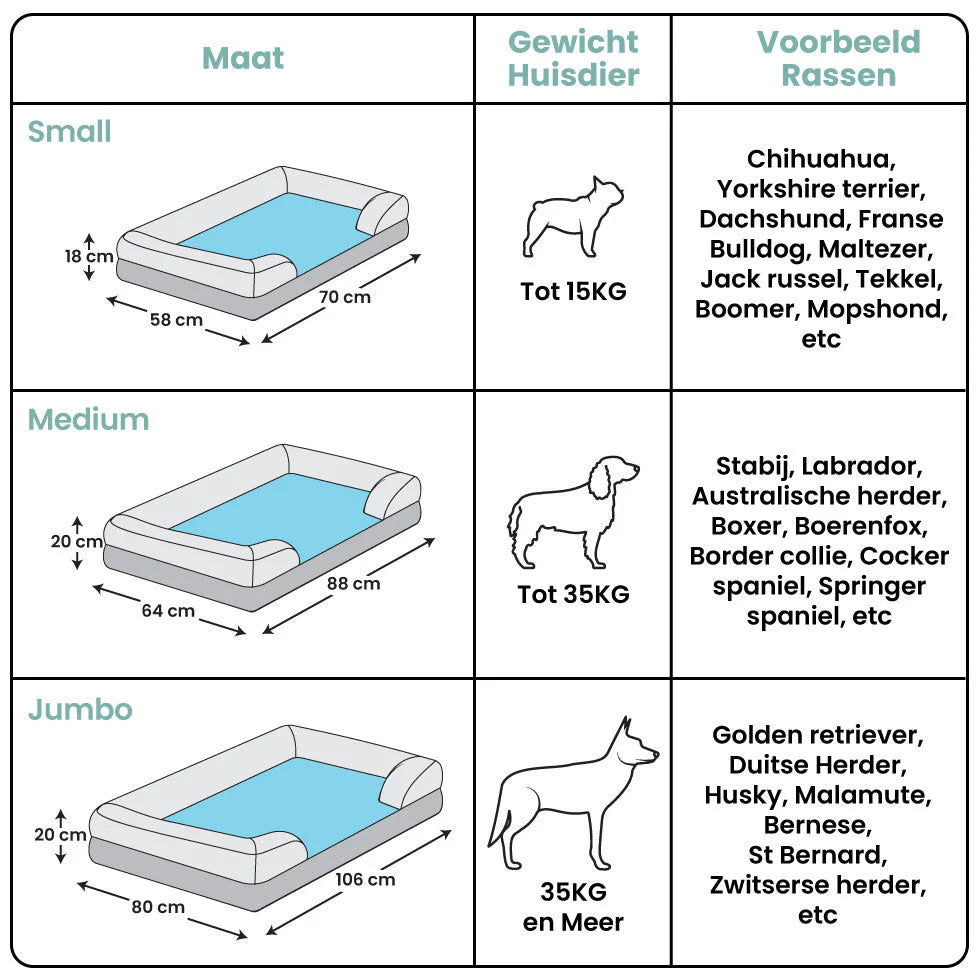 Luxury Orthopedic Dog Bed