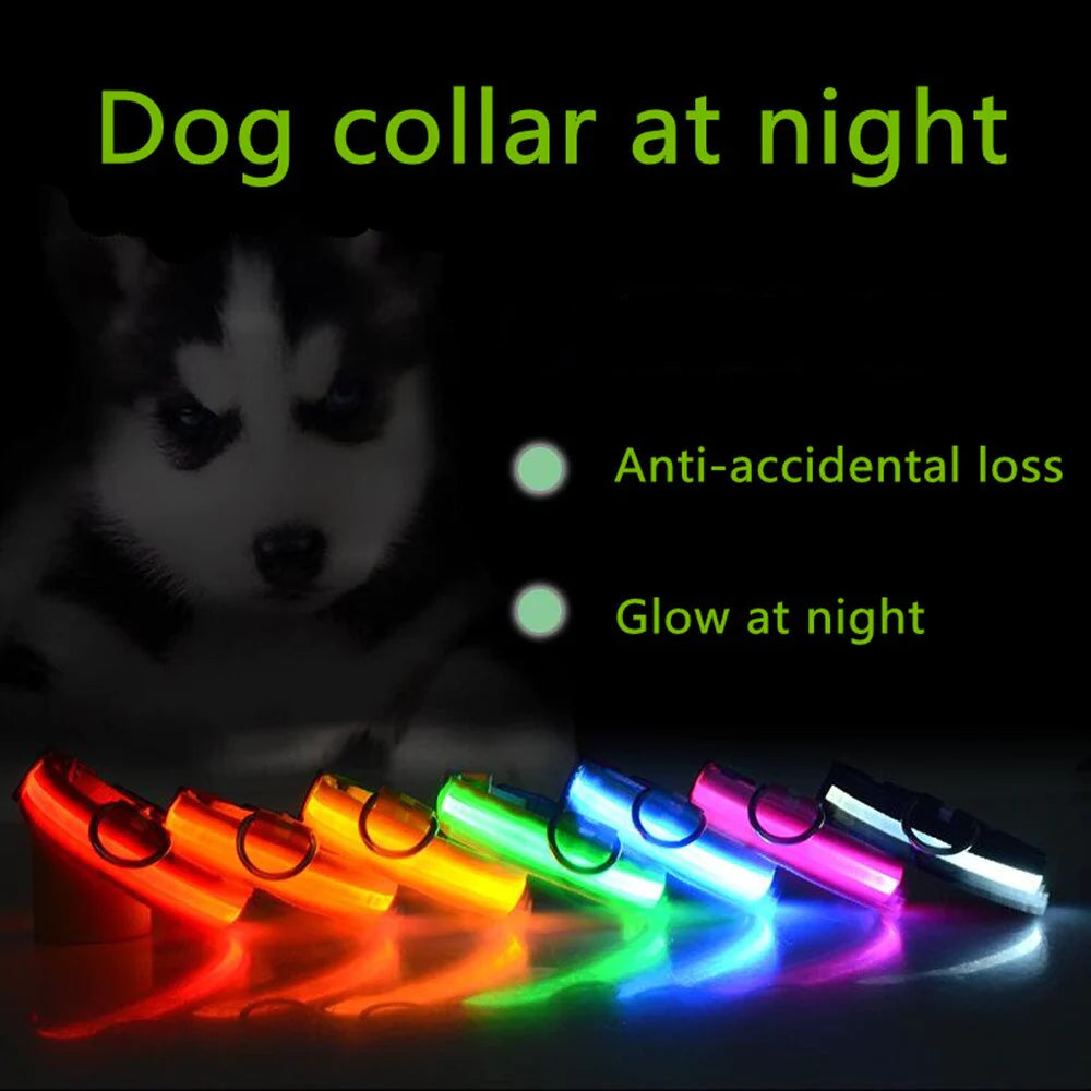 LED Glowing Dog Collar 