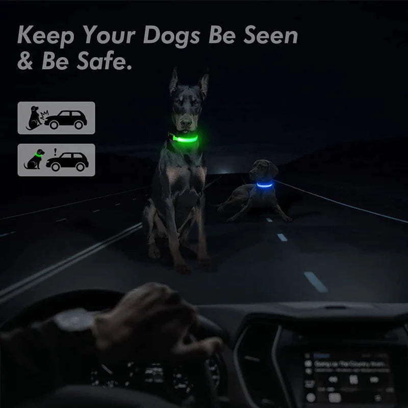 LED Glowing Dog Collar 