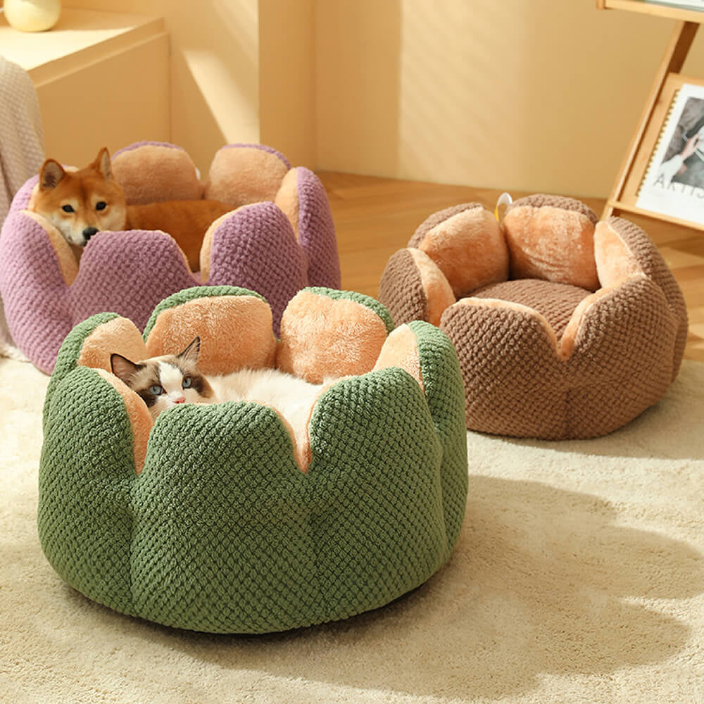 Cactus Shaped Pet Bed 