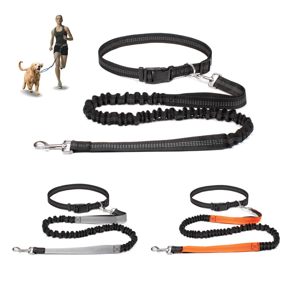 Hands Free Adjustable Dog Leash for Pet Walking Running 