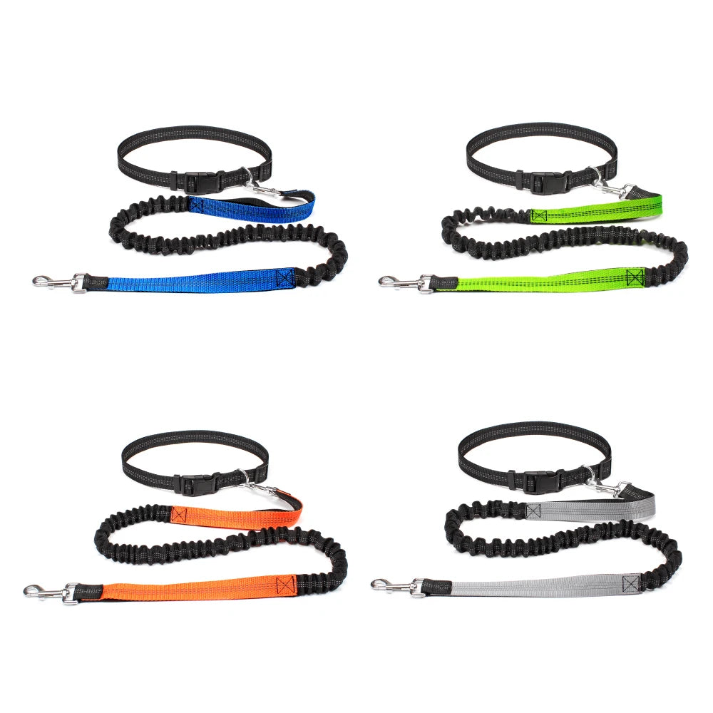 Hands Free Adjustable Dog Leash for Pet Walking Running 