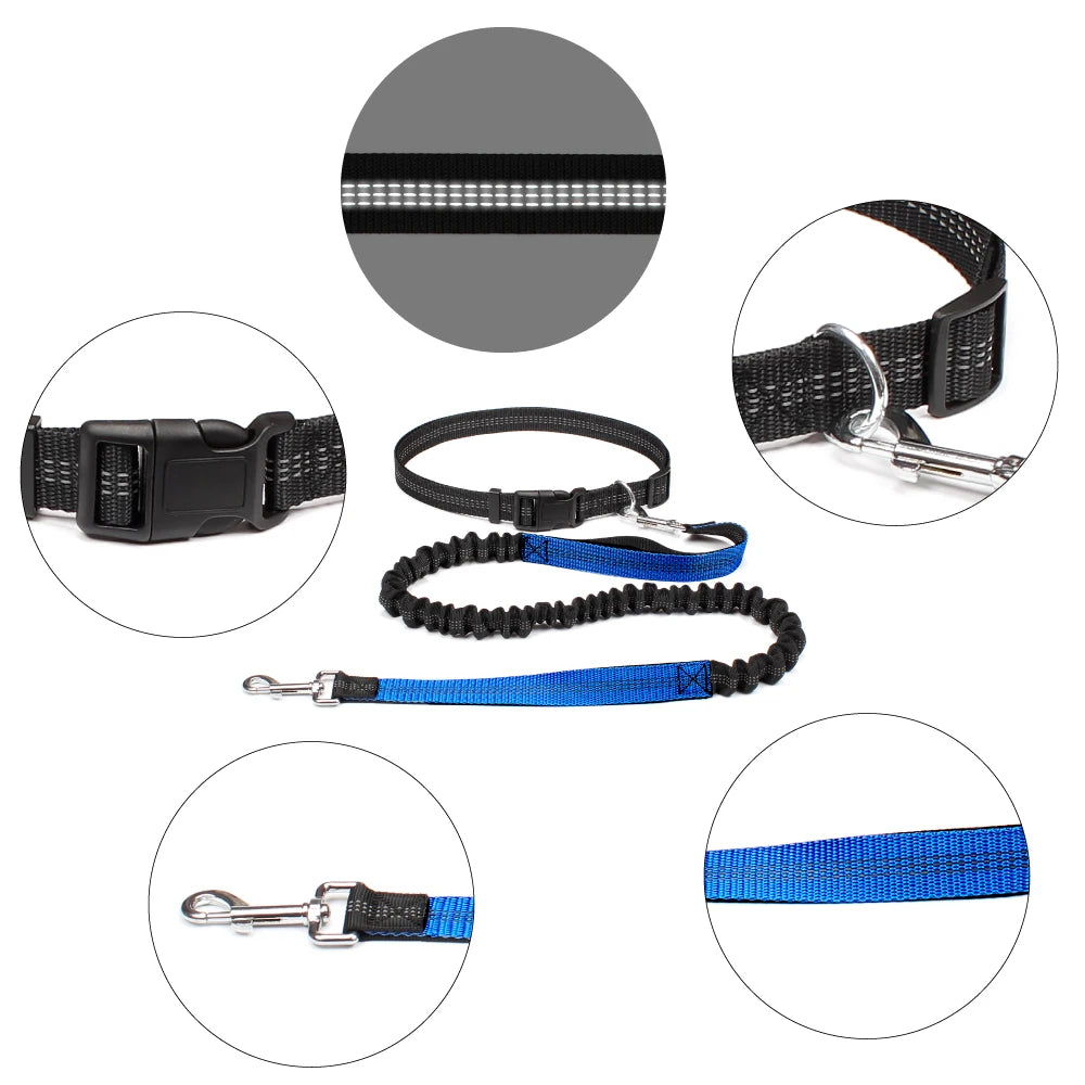 Hands Free Adjustable Dog Leash for Pet Walking Running 