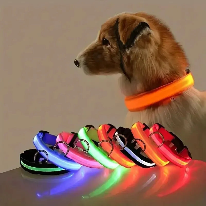 Glowing LED Dog Collar