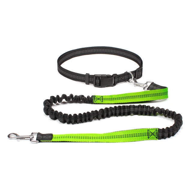 Hands Free Adjustable Dog Leash for Pet Walking Running 