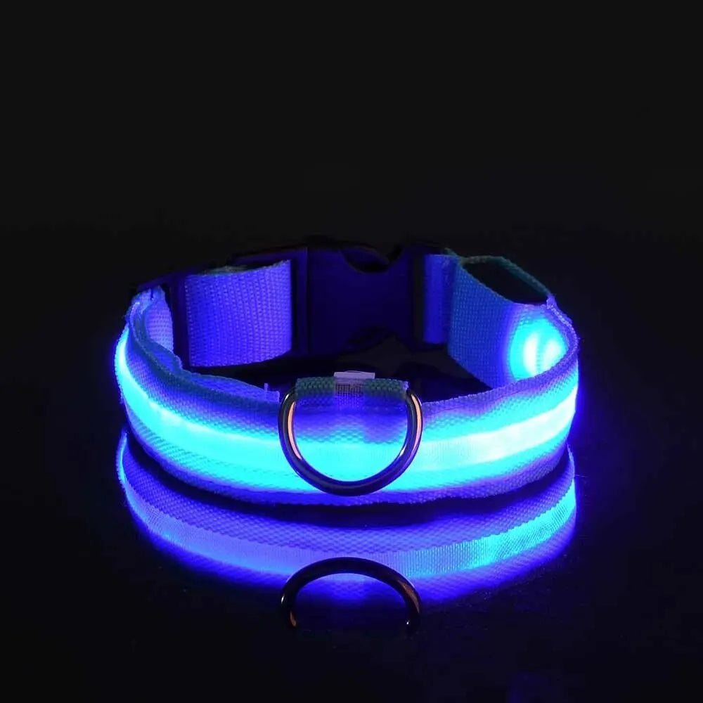 Glowing LED Dog Collar