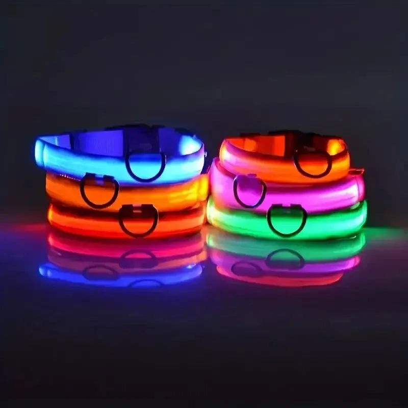 Glowing LED Dog Collar