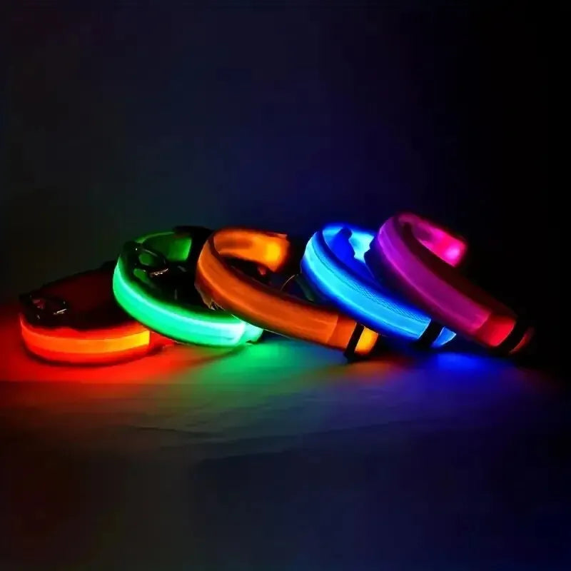 Glowing LED Dog Collar