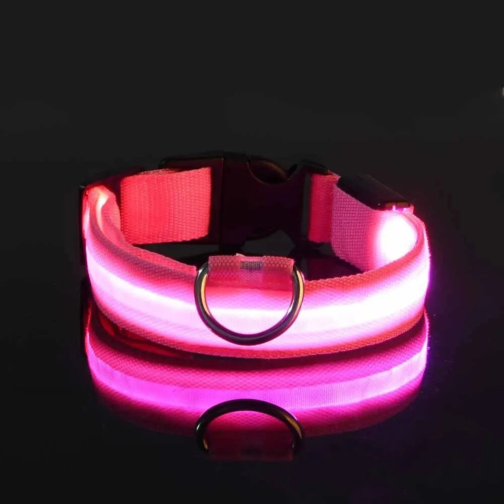 Glowing LED Dog Collar