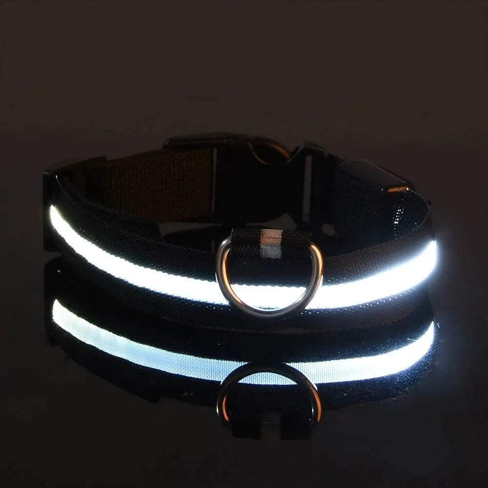 Glowing LED Dog Collar