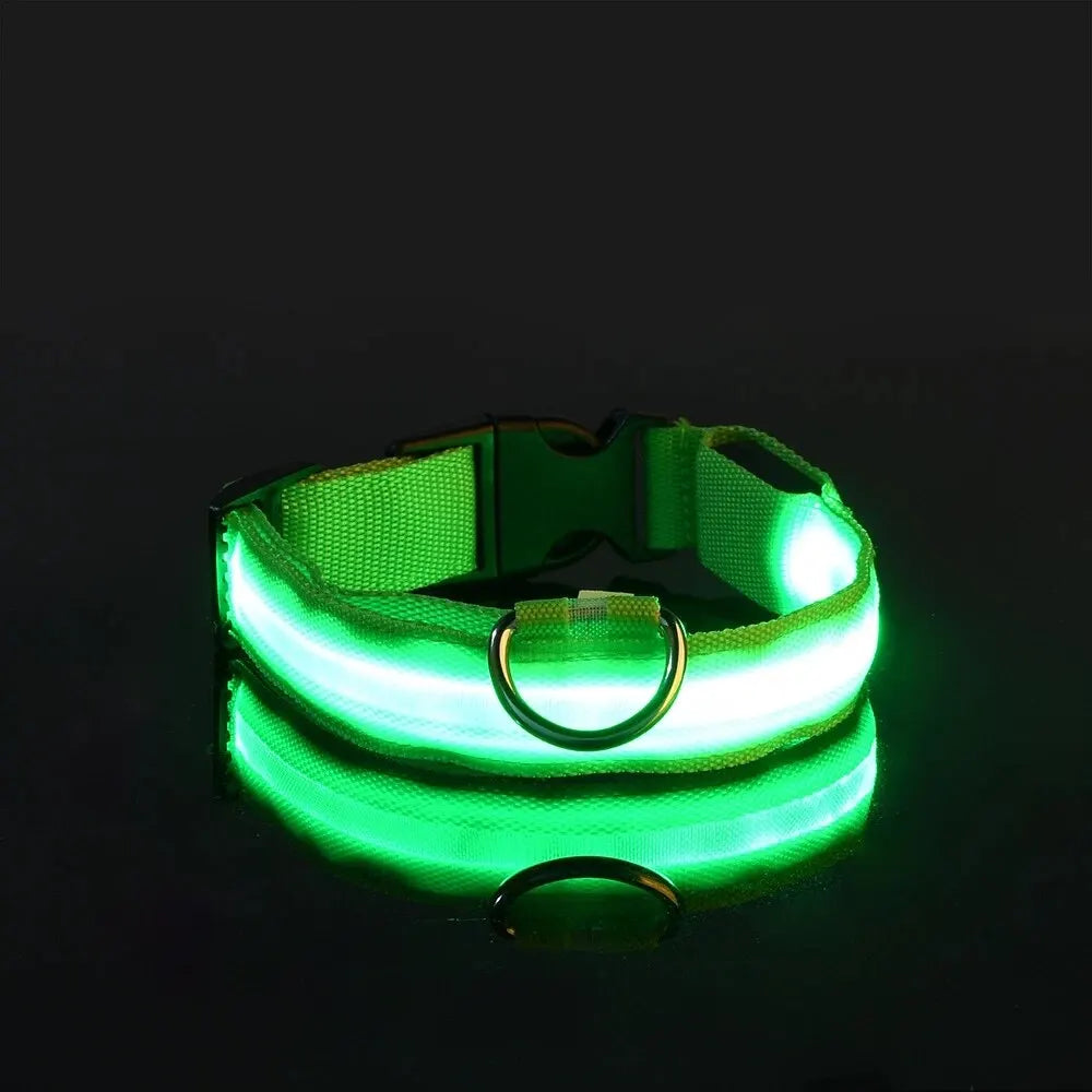 Glowing LED Dog Collar