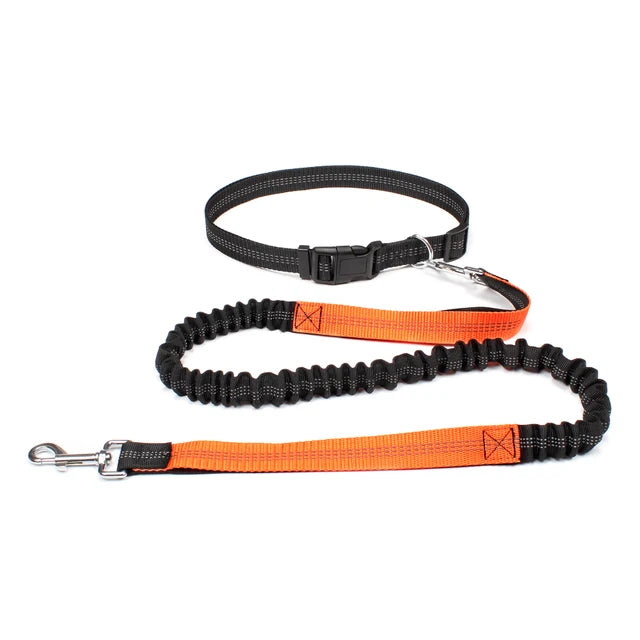 Hands Free Adjustable Dog Leash for Pet Walking Running 