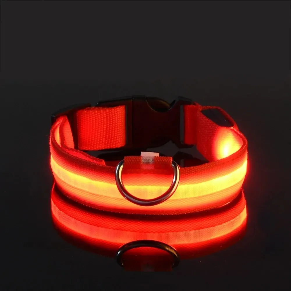 Glowing LED Dog Collar