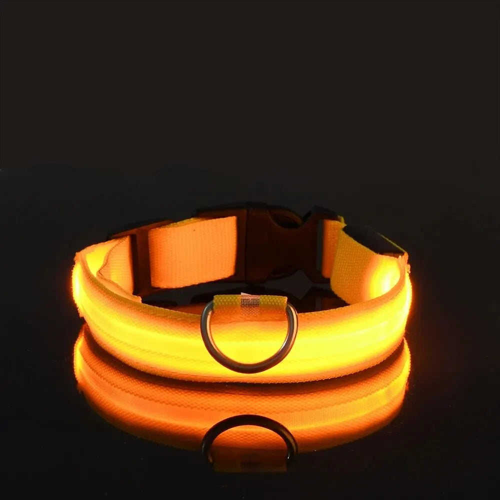 Glowing LED Dog Collar