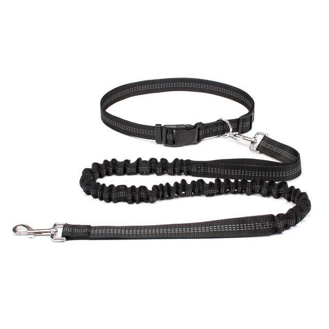 Hands Free Adjustable Dog Leash for Pet Walking Running 