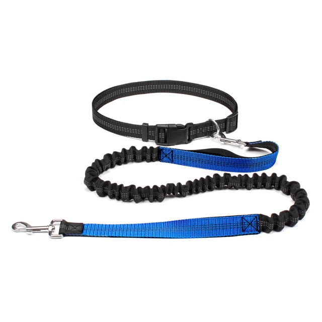 Hands Free Adjustable Dog Leash for Pet Walking Running 