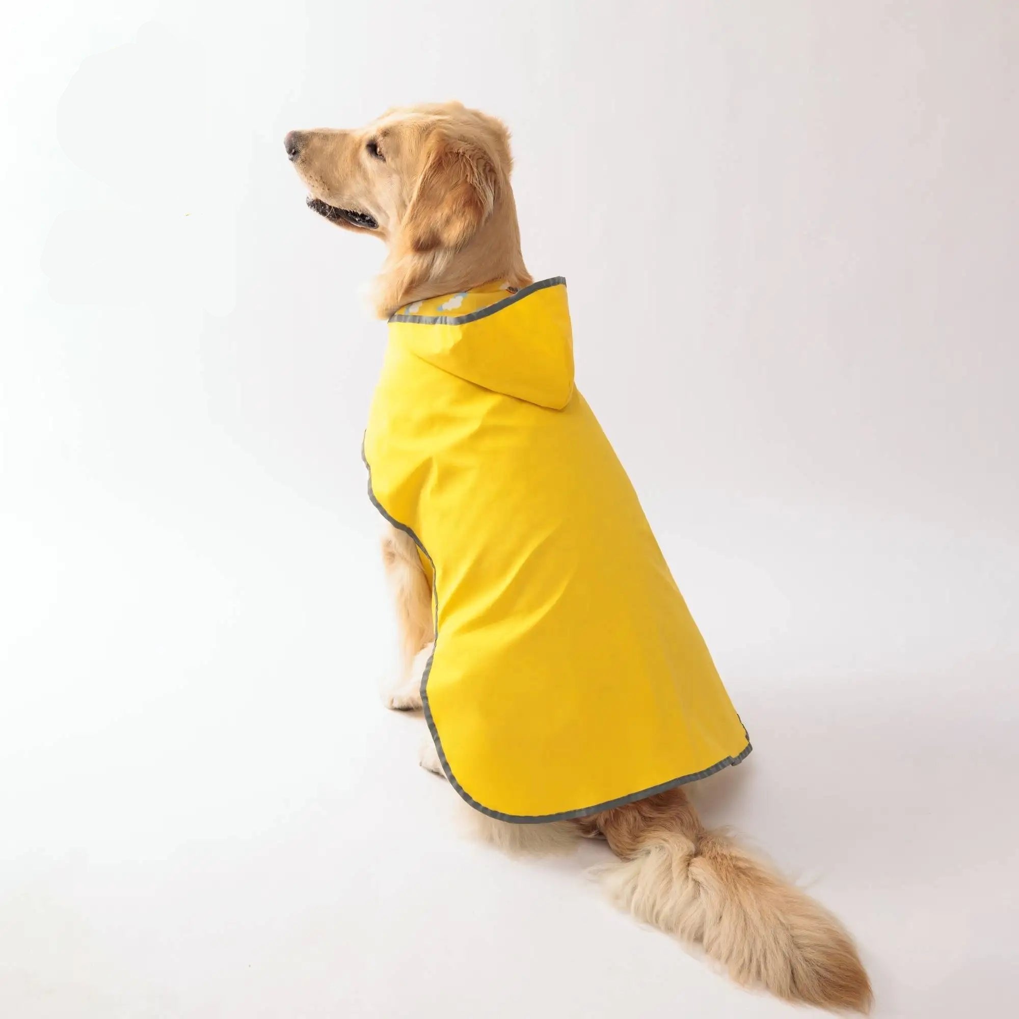 Dog Raincoat