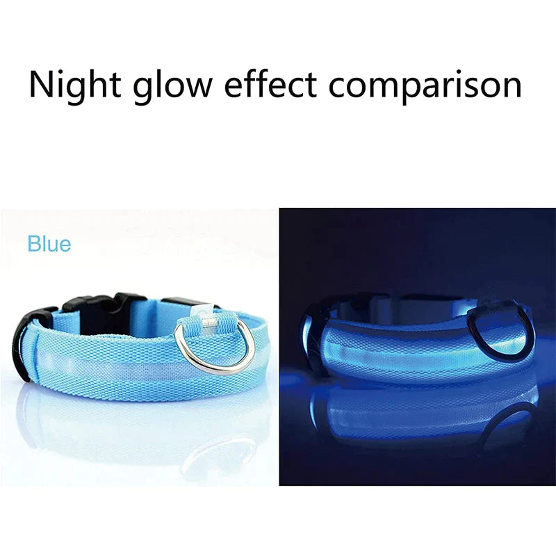 LED Glowing Dog Collar 