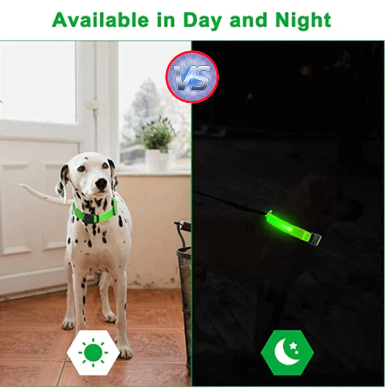 LED Glowing Dog Collar 