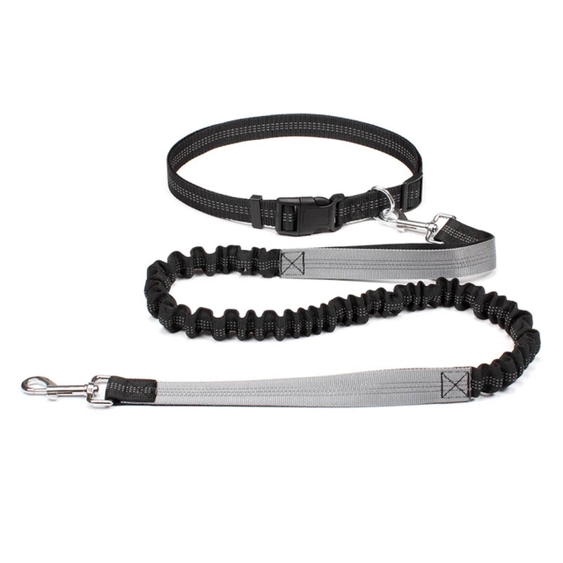 Hands Free Adjustable Dog Leash for Pet Walking Running 