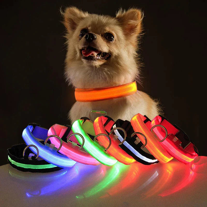 LED Glowing Dog Collar 